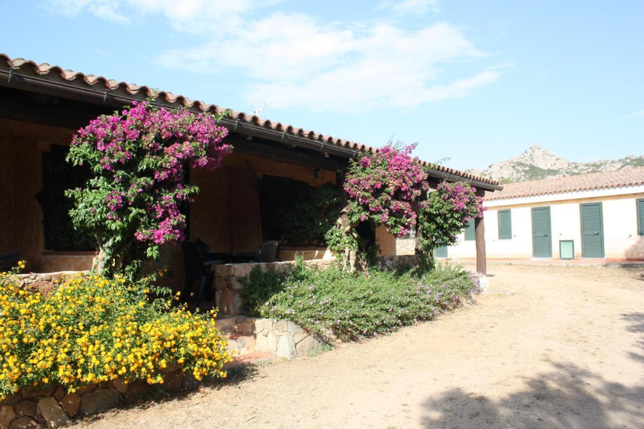 Agriturismo Lu Branu Arzachena Dış mekan fotoğraf