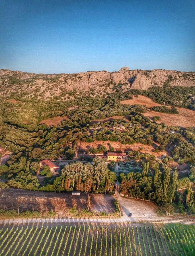 Agriturismo Lu Branu Arzachena Dış mekan fotoğraf