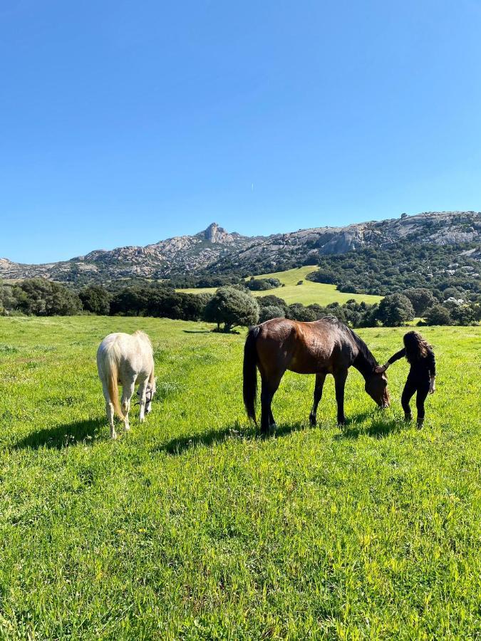 Agriturismo Lu Branu Arzachena Dış mekan fotoğraf