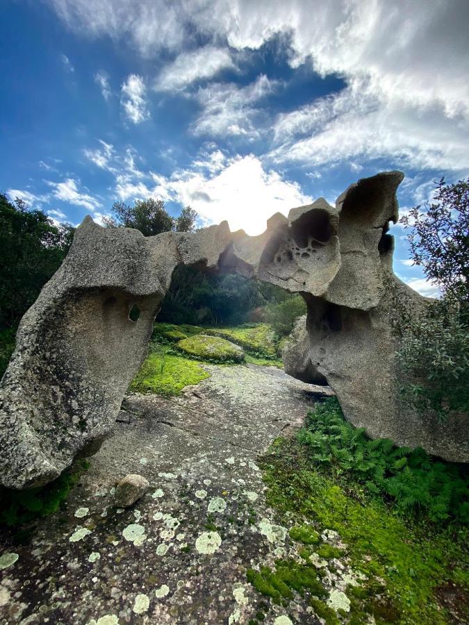 Agriturismo Lu Branu Arzachena Dış mekan fotoğraf