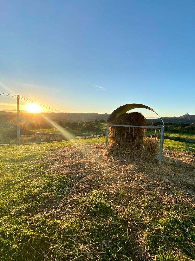 Agriturismo Lu Branu Arzachena Dış mekan fotoğraf