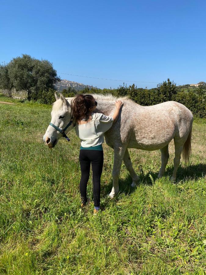Agriturismo Lu Branu Arzachena Dış mekan fotoğraf